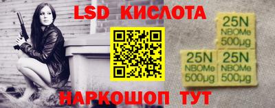 гидра Новодвинск