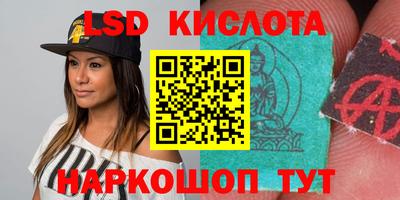 spice Новозыбков