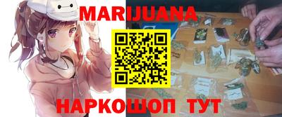 гидра Новодвинск