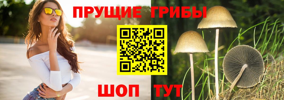Псилоцибиновые грибы мицелий Соликамск
